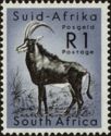Southern Sable Antelope (Hippotragus niger)
