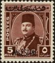 King Farouk