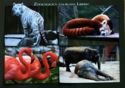 Animals in Liberec Zoo