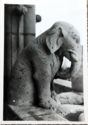 Paris Notre Dame Elephant (Chimera)