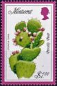 Prickly Pear (Opuntia tuna)