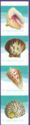 Seashells (Pane Stamps)