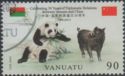 Giant Panda (Ailuropoda melanoleuca), Wild Boar (Sus scrofa)