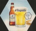 Hoegaarden