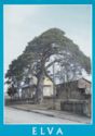Elva