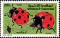 Seven-spot Ladybird (Coccinella septempunctata)