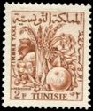 Tunisian Agriculture Produce
