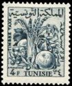 Tunisian Agriculture Produce