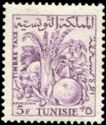 Tunisian Agriculture Produce