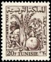 Tunisian Agriculture Produce