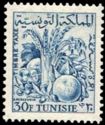 Tunisian Agriculture Produce