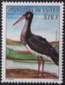 Black Stork (Ciconia nigra)