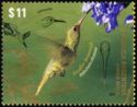 Gilded Hummingbird (Hylocharis chrysura)