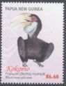Papuan (Blyth's) Hornbill (Rhyticeros plicatus) - female