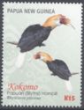 Papuan (Blyth's) Hornbill (Rhyticeros plicatus) - 2 males