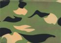 Camouflage 1 (2001)