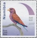 Broad-billed Roller (Eurystomus glaucurus)