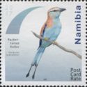 Racket-tailed Roller (Coracias spatulatus)