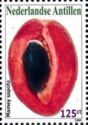 Mamey Sapote