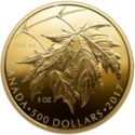 500 Dollars (Maple Leaves)