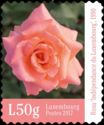 Rose - Independence of Luxembourg