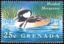 Hooded Merganser (Lophodytes cucullatus)