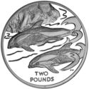 2 Pounds (Hourglass Dolphin)