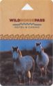 Wild Horse Pass Hotel & Casino