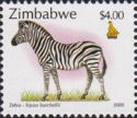 Zebra (Equus quagga burchelli)
