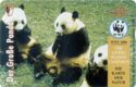 Wwf - Panda
