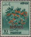 Orange Tree - Official Overprint