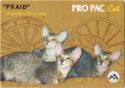 "PRAID" - Oriental breed cats