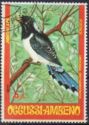 Red-billed Blue-Magpie (Urocissa erythroryncha)