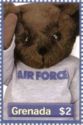 Air Force bear