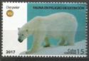 Polar bear (Ursus maritimus)