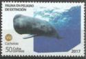 Sperm Whale (Physeter macrocephalus)