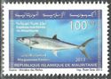 Marine Life Of Mauritania (Series I)