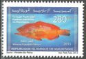 Marine Life Of Mauritania (Series I)