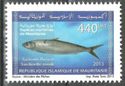 Marine Life Of Mauritania (Series I)