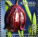Fritillaria armena