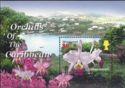 Orchids of the Carribbean