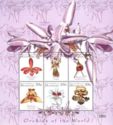 Orchids of the World (III)