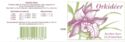 Orchids