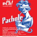 Pachole