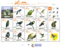 Endemic Birds of Colombia
