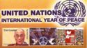 International Year of Peace