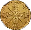 1 Guinea (William III)