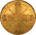 5 Guinea (William III)