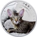 1 Dollar (Javanese Cat)