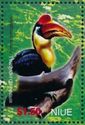 Wrinkled hornbill (Aceros corrugatus)